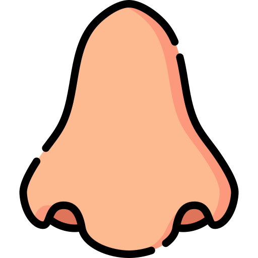 burun
